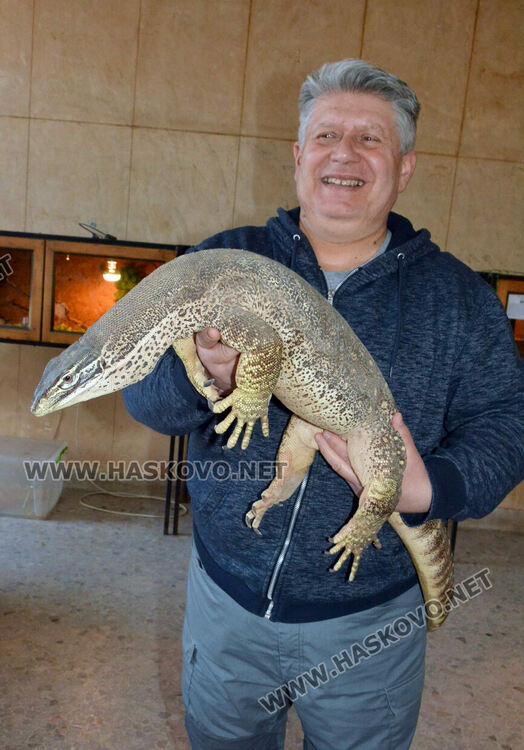 Показаха Нилски варан в екзотичната изложба в Хасково