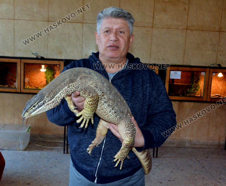 Показаха Нилски варан в екзотичната изложба в Хасково