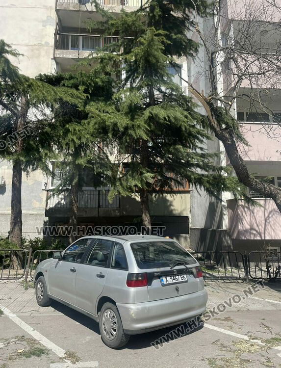 Вятърът счупи клон от дърво и падна върху кола в центъра на Хасково