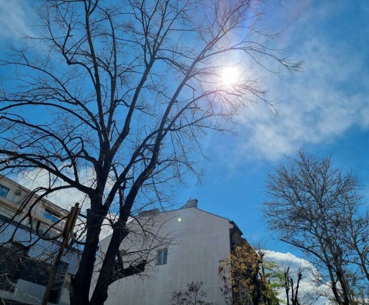 Важно! Предупреждение за силен вятър в Асеновград 