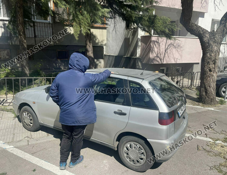 Вятърът счупи клон от дърво и падна върху кола в центъра на Хасково