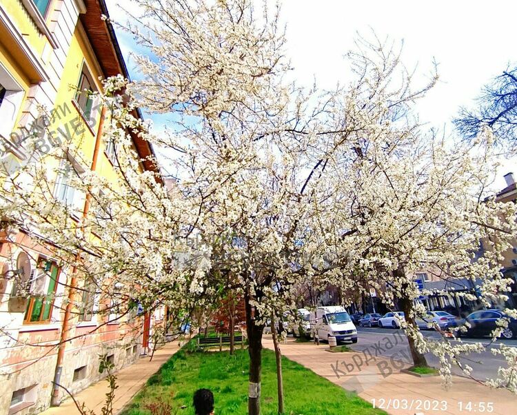 Променлива облачност над Кърджали днес, тихо време