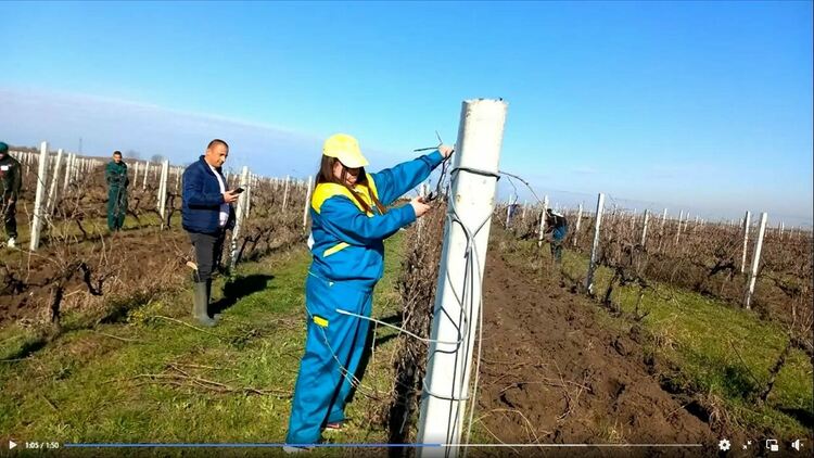 Отборът на ПГСС се класира за националния кръг на "Млад фермер"