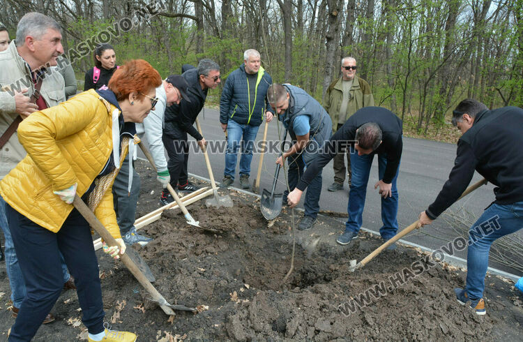 Ротари клуб Хасково-Аида с поредна акция по засаждане на дръвчета в „Кенана”