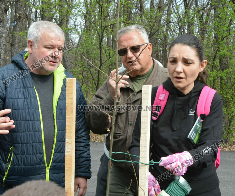 Ротари клуб Хасково-Аида с поредна акция по засаждане на дръвчета в „Кенана”