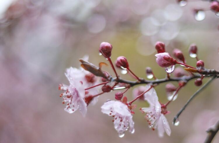 Значителни валежи с гръмотевици в региона на Хасково и опасност от градушки