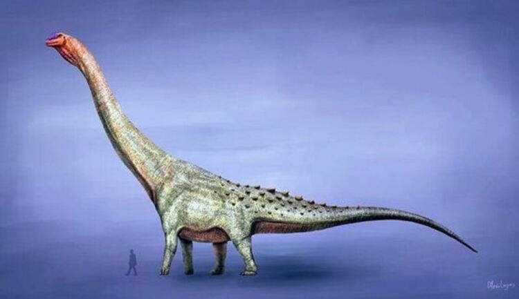 Титанозаврите са най-големите сухоземни животни, съществували някога, но са снасяли яйца с размер само около 15 см. Кредит: Mariol Lanzas/Wikimedia Commons