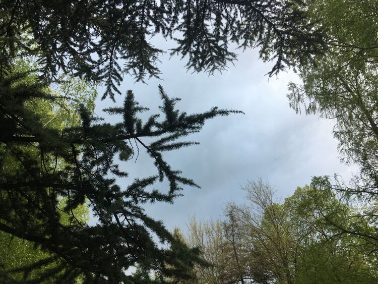 Облачно, до вечерта - застудяване и валежи