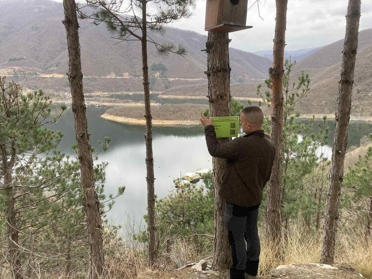 Служители на ДГС-"Михалково" поставиха табели на дървета с QR код, съдържащ информация и снимки за вида