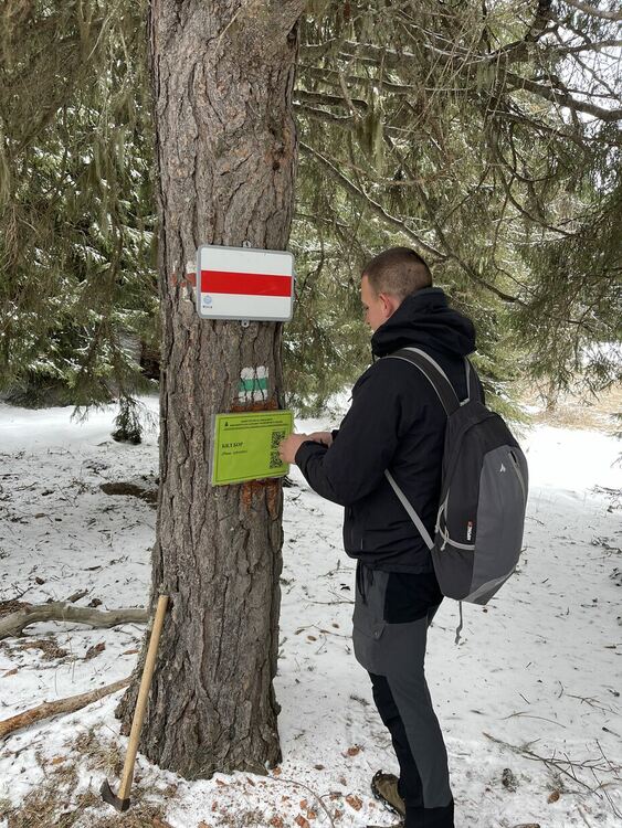 Служители на ДГС-"Михалково" поставиха табели на дървета с QR код, съдържащ информация и снимки за вида