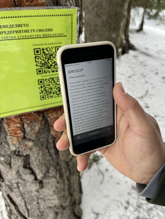 Служители на ДГС-"Михалково" поставиха табели на дървета с QR код, съдържащ информация и снимки за вида