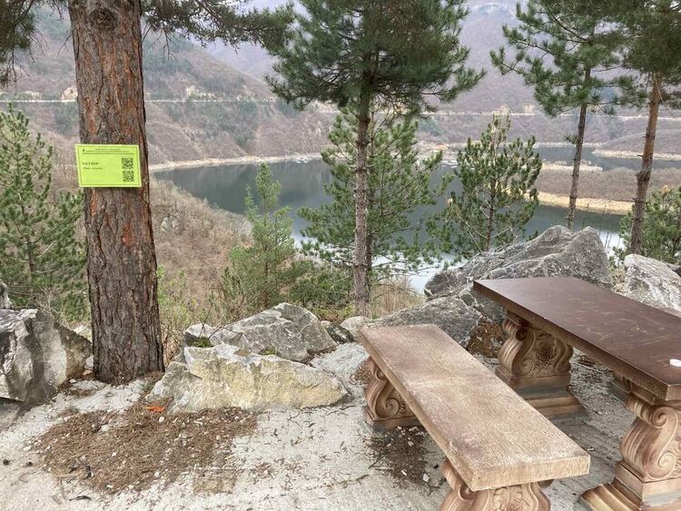 Служители на ДГС-"Михалково" поставиха табели на дървета с QR код, съдържащ информация и снимки за вида