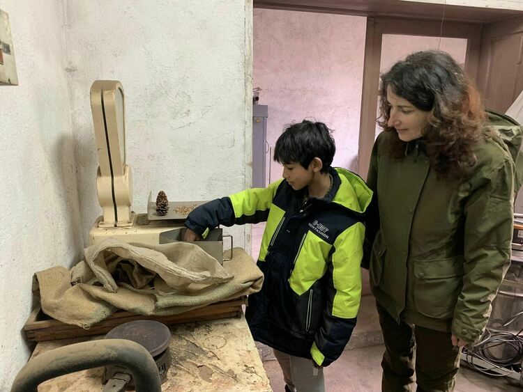 Ученици от Смолян посетиха единствената шишаркосушилня в региона