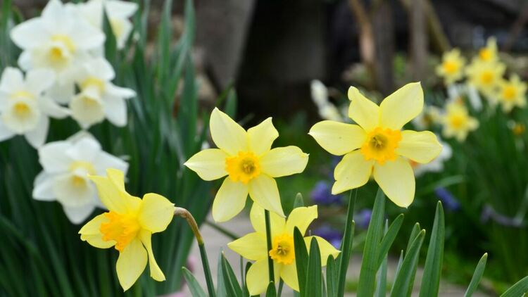 Предимно облачно с температури до 15 градуса днес