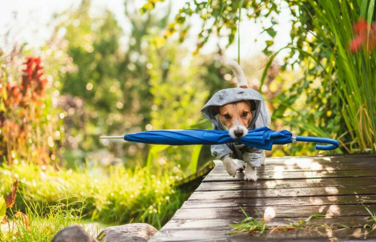 Облачно и дъждовно в понеделник