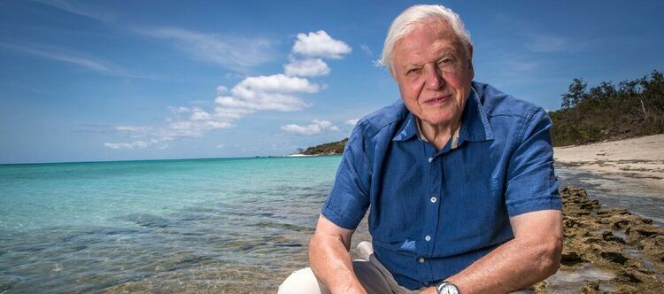 Сър Дейвид Атънбъро, Големият бариерен риф и Праисторически гиганти по VIASAT NATURE