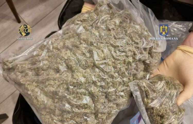 Разбиха най-голямата мрежа за доставка на наркотици в Румъния, насочена основно към ученици и студенти