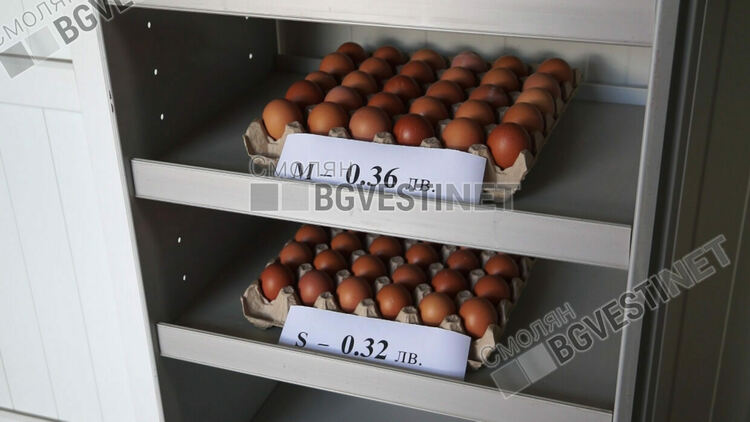 Смолянчани масово пазаруват яйца за Великден, въпреки високата им цена