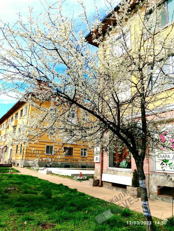 Предимно слънчево днес в Кърджали, истинска пролет