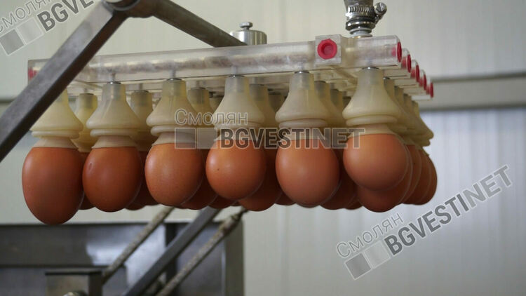 Смолянчани масово пазаруват яйца за Великден, въпреки високата им цена