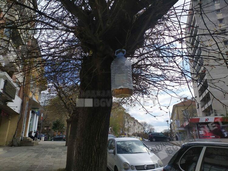 Кърджалийци спретнаха по Великден тоалетна тип „Кацнал на едно дърво”