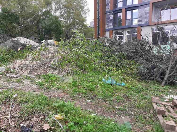 Отново посегнаха на дървета до 20-ти блок във „Възрожденци”