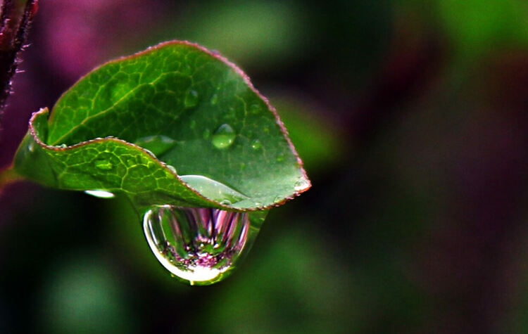 Дъждовно време във вторник
