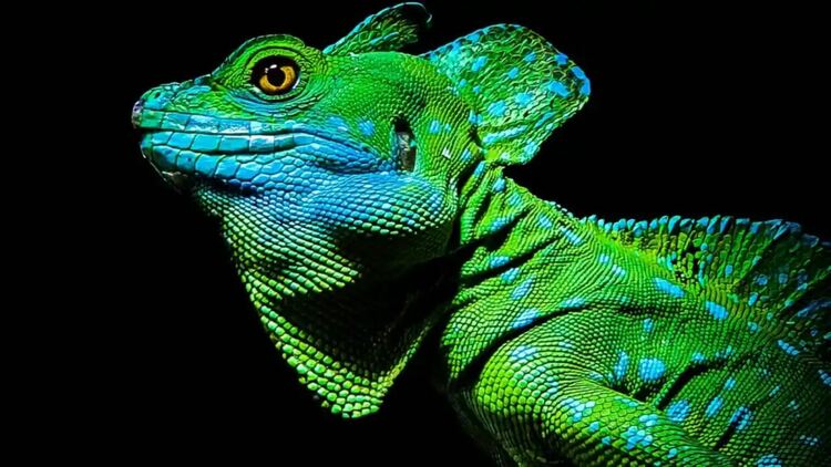 Chameleon е новият Android малуер, имитиращ редица приложения за смартфони