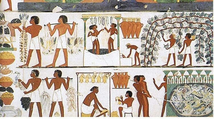 Виното е по-старо от хляба