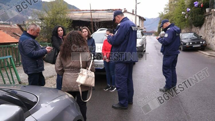 Изземват глутницата от "Къщата на кучетата" на ул. "Кольо Шишманов"... само, за да ги кастрират