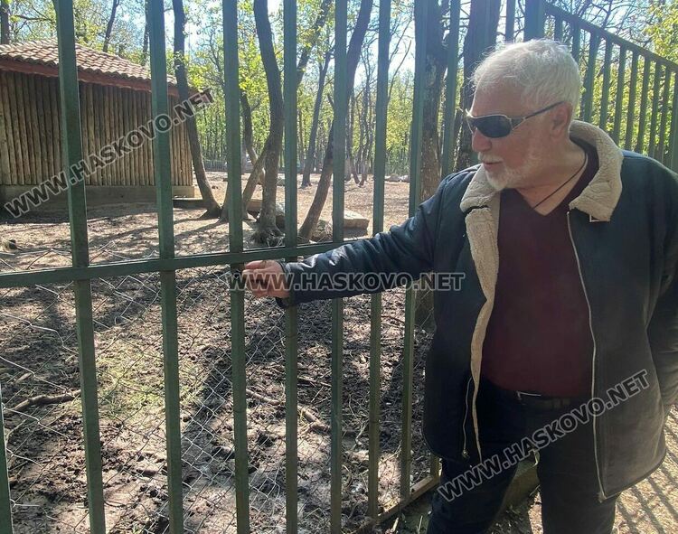 Злосторници срязаха оградата на зоопарка и пуснаха кошутите от загражденията