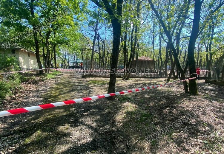 Злосторници срязаха оградата на зоопарка и пуснаха кошутите от загражденията