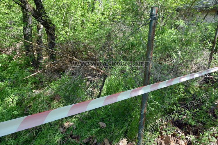 Злосторници срязаха оградата на зоопарка и пуснаха кошутите от загражденията