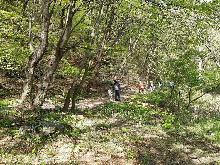 В Деня на Земята РИОСВ – Пловдив почисти замърсени eкопътеки в Царството на орхидеите