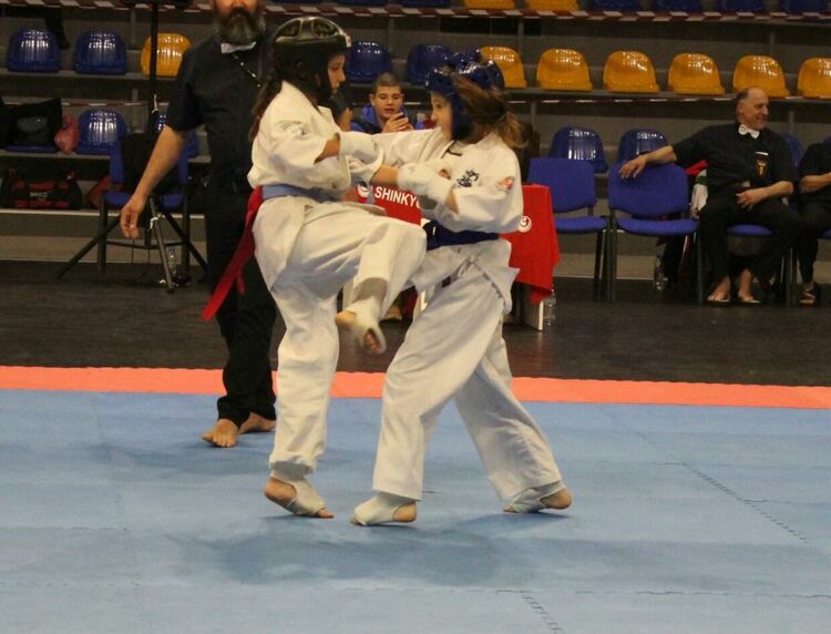 СК "Хамон Доджо" на III място по брой медали в страната