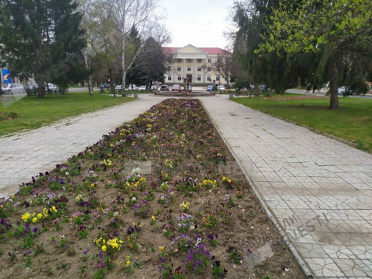 С настъпването на пролетта все повече кърджалийци създават градинки пред домовете си, минувачи се снимат за спомен