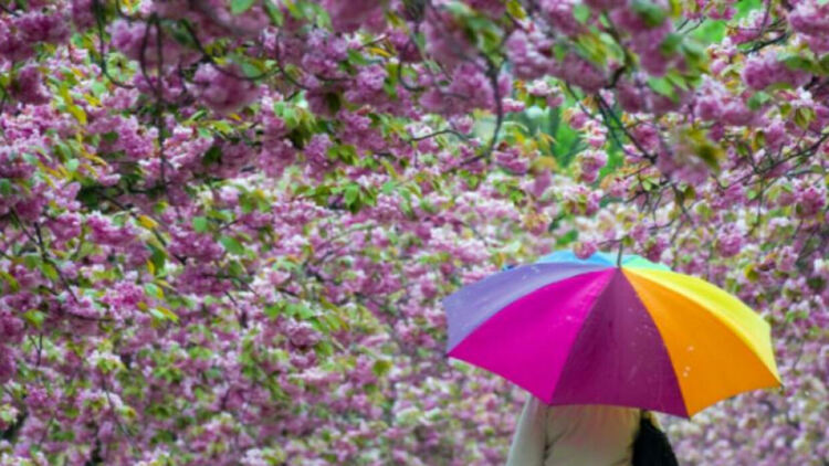 Облаци, слънце и дъжд във вторник