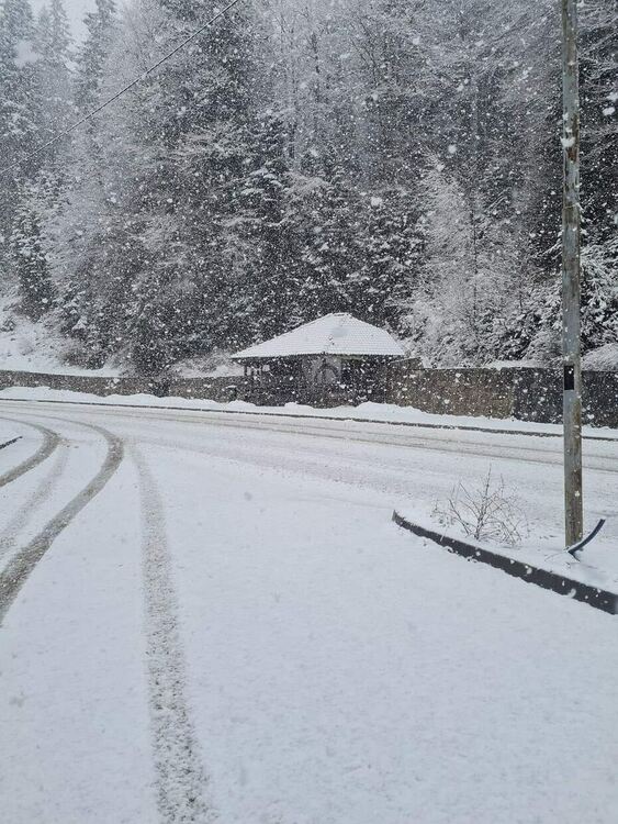 снимка: Даниела Чакърова / ФБ/