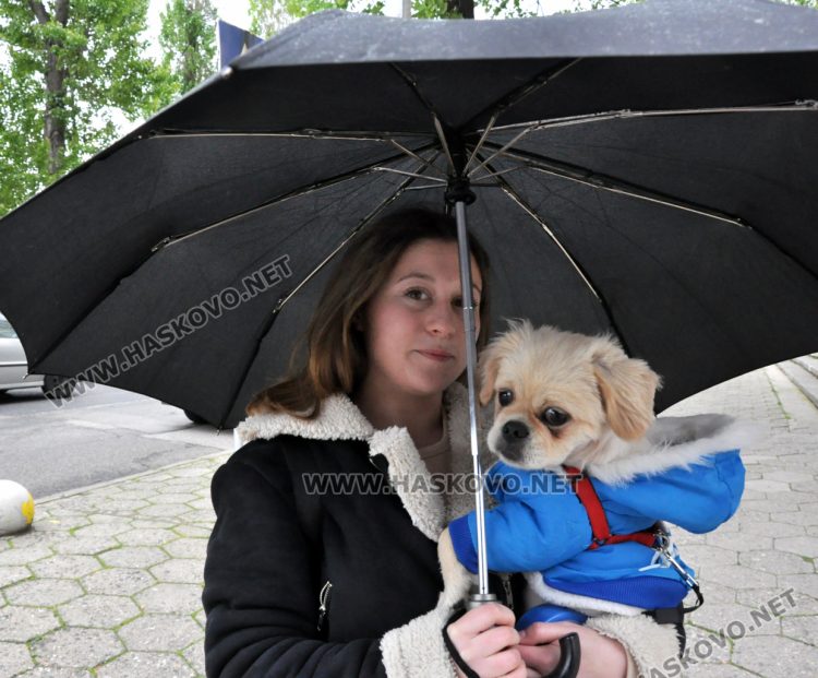 Слънце, облаци и слаб дъжд в четвъртък
