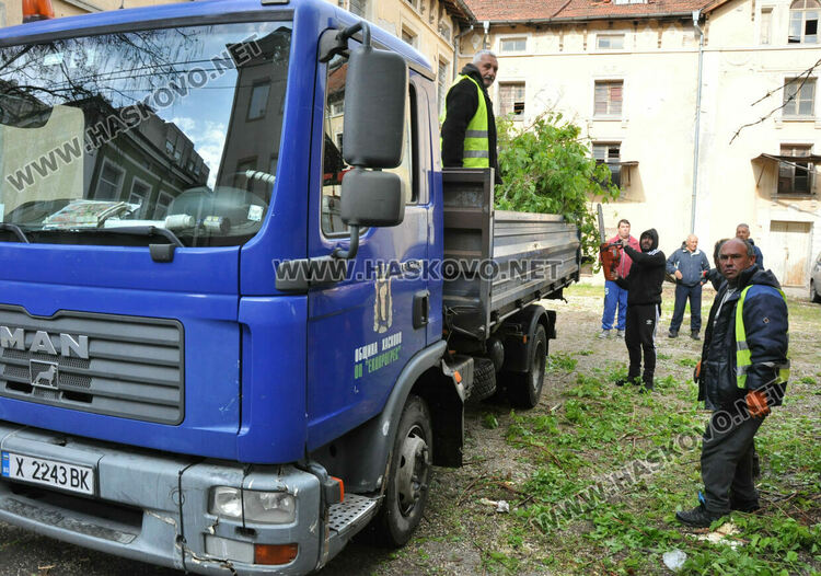Затвориха улица „Георги Кирков“ пред Втора поликлиника заради резитба на дърво