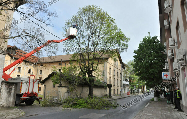 Затвориха улица „Георги Кирков“ пред Втора поликлиника заради резитба на дърво