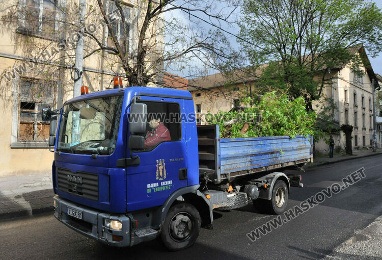 Затвориха улица „Георги Кирков“ пред Втора поликлиника заради резитба на дърво