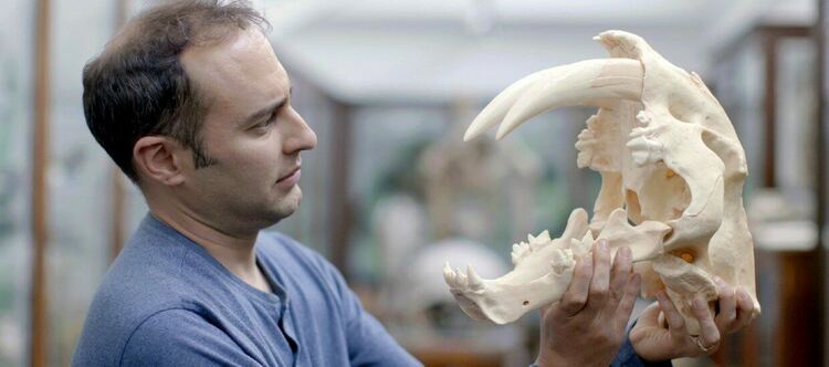 Изгубените зверове и Природата на майките по Viasat Nature