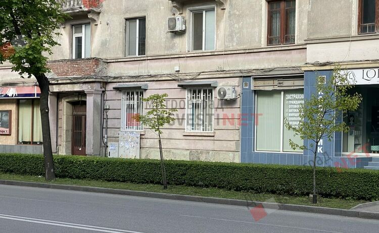 Отрязаха дървета по бул. "Трети март" - ще бъдат засадени нови, върху старите