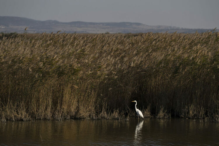 Обилните валежи повишиха нивата на реките Марица и Тунджа в Одринска област
