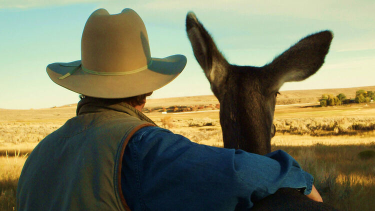 Генетично изследване установи какво е общото между хората и животните