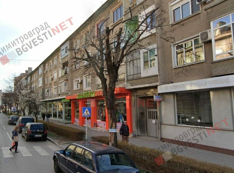 Отрязаха дървета по бул. "Трети март" - ще бъдат засадени нови, върху старите