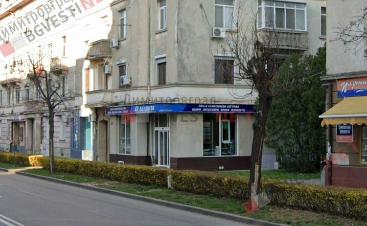 Отрязаха дървета по бул. "Трети март" - ще бъдат засадени нови, върху старите