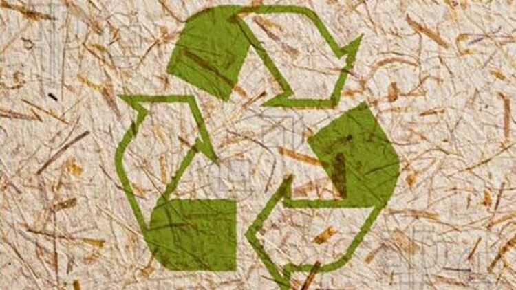 Алековци спасяват 170 дървета