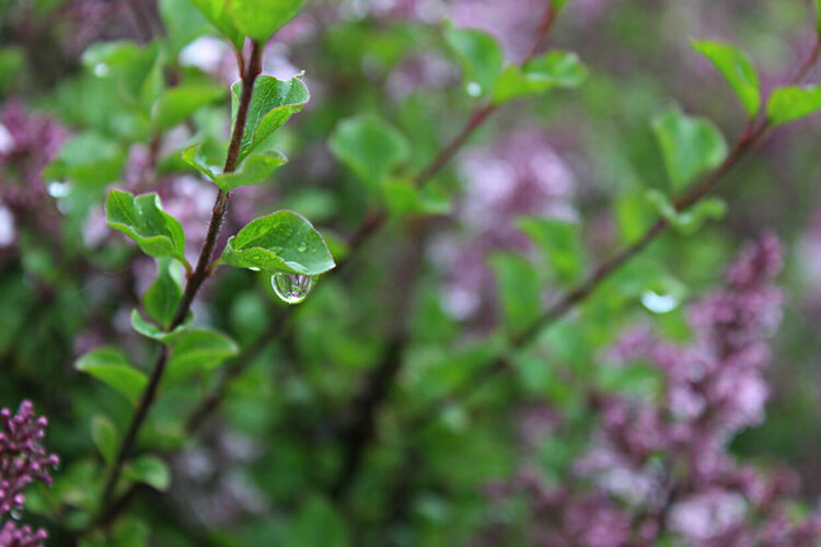 Облачно време с превалявания 